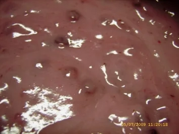 Preiselbeerflammeri - Rezept - Bild Nr. 26