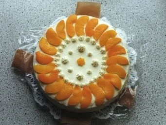 Topfenschnitten mit Früchten und Biskotten - Rezept