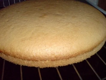 Blaubeer-Quark-Torte - Rezept - Bild Nr. 16