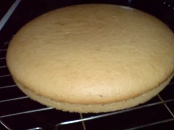 Blaubeer-Quark-Torte - Rezept - Bild Nr. 18