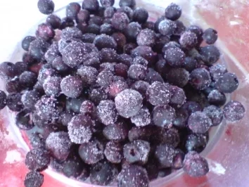 Blaubeer-Quark-Torte - Rezept - Bild Nr. 25