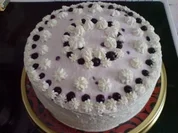 Blaubeer-Quark-Torte - Rezept