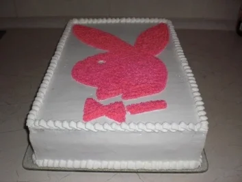 Waldbeere-Mango-Holundermousse Torte - Rezept