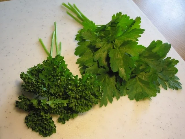 Rezept: Petersilienkartoffeln Bild Nr. 2 Petersilienkartoffeln - Rezept - Bild Nr. 2