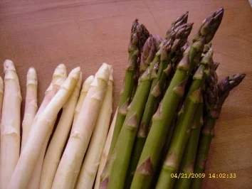 Serrano an warmer Spargel - Nudel - Variation - Rezept - Bild Nr. 3