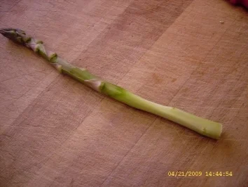 Serrano an warmer Spargel - Nudel - Variation - Rezept - Bild Nr. 5