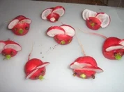 Radieschenmäuse - Rezept