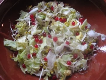 Eisbergsalat mit Johannisbeeren - Rezept