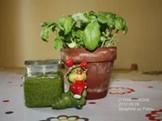Green's Pesto - Rezept