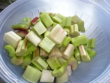 Saftige Rhabarberschnitten - Rezept - Bild Nr. 6