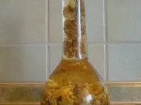 Rezept: Nussöl selbstgemacht Bild Nr. 2 Nussöl selbstgemacht - Rezept - Bild Nr. 2