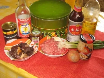 Rezept: asiatische hackbällchen shang hai Bild Nr. 3 asiatische hackbällchen shang hai - Rezept - Bild Nr. 3