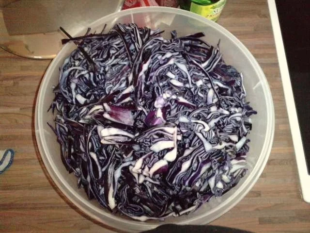 Rotkraut - Rezept