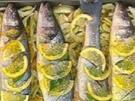 Wolfsbarsch vom Blech - Rezept - Bild Nr. 9
