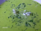 Bärlauchsüppchen - Meine Art - Rezept