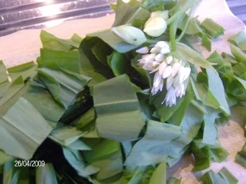 Bärlauchsüppchen - Meine Art - Rezept - Bild Nr. 2