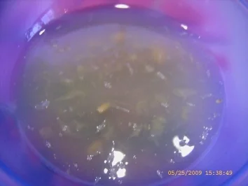 Schmand - Joghurt - Creme mit Frucht - Rezept - Bild Nr. 4