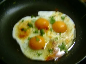 Enteneier mit Kräuter - Rezept - Bild Nr. 2