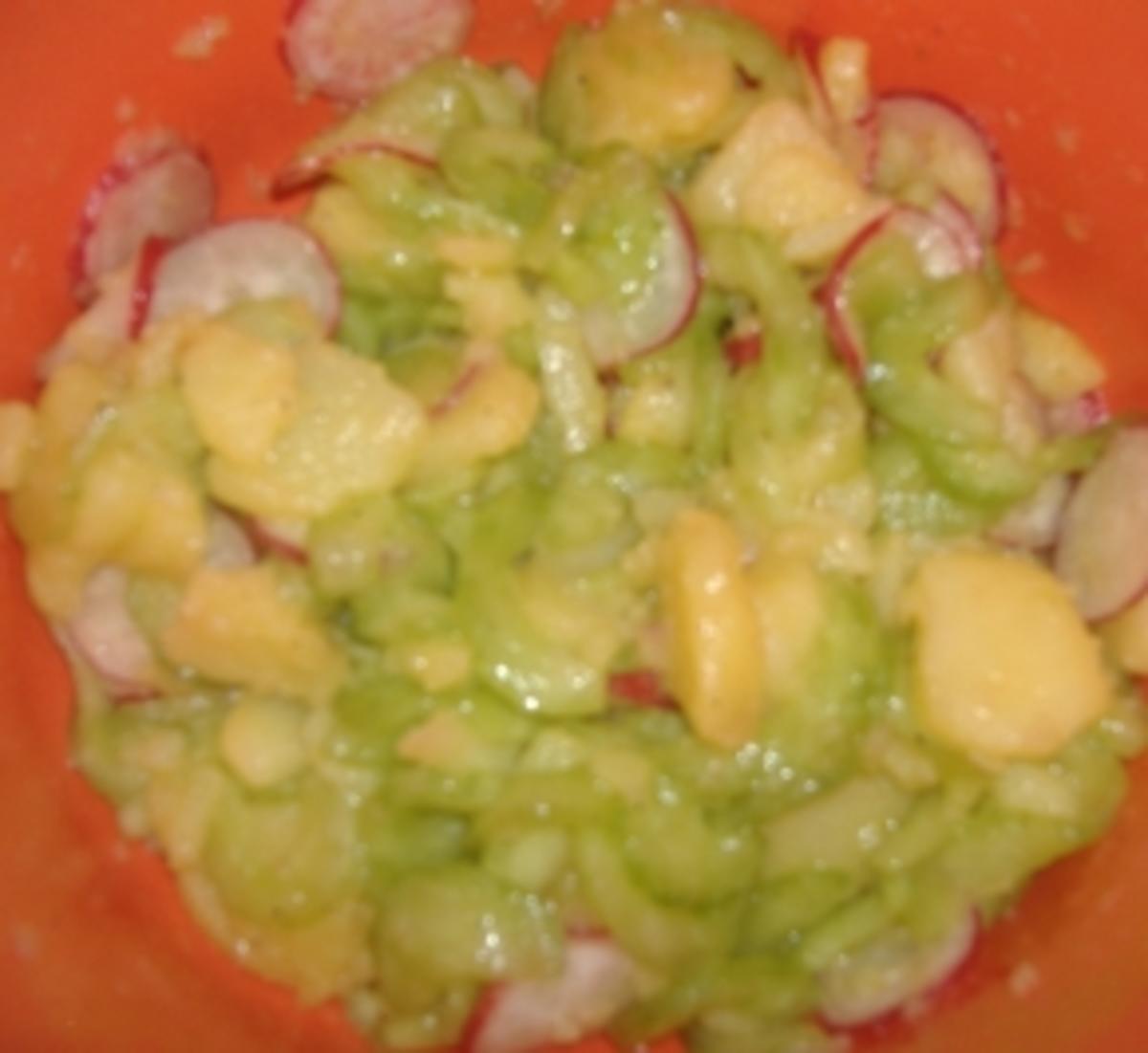 Kartoffel-Gurkensalat mit Radieschen und Zanderfilet - Rezept - Bild Nr. 2