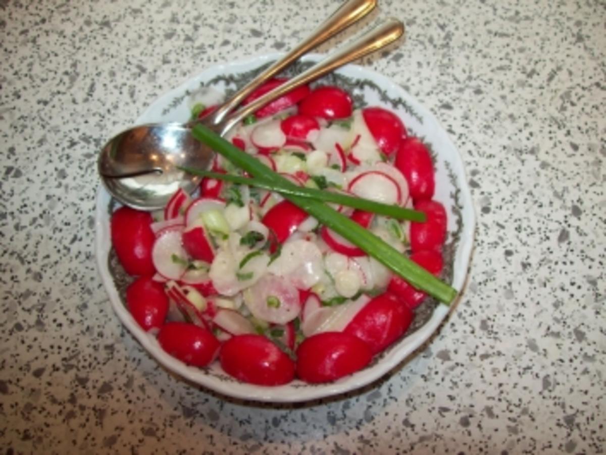 Rettich - Radischen - Salat - Rezept