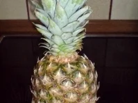 Annas  Ananas Torte - Rezept - Bild Nr. 2