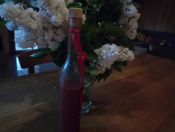 Rezept: Gemüsedrink Gemüsedrink - Rezept