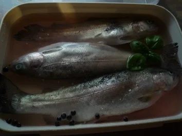 Rezept: Grillforelle Grillforelle - Rezept