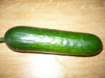 Die F1 für die Figur...oder der Frau - Rezept - Bild Nr. 2