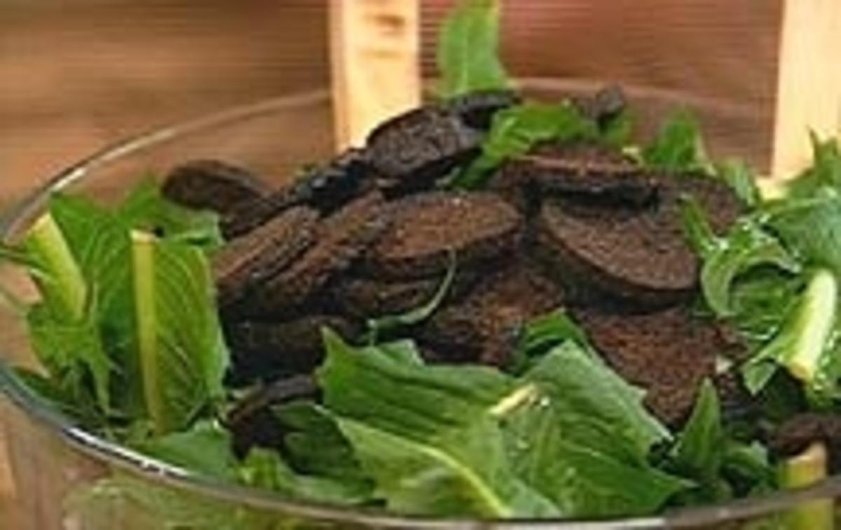 Schwarzbrot mit Senfgurken - Rezept - Bild Nr. 9