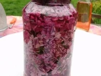 Blütenessig, jeder für sich ein himmlischer Genuß!!!!! - Rezept - Bild Nr. 4