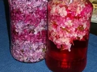 Blütenessig, jeder für sich ein himmlischer Genuß!!!!! - Rezept - Bild Nr. 5