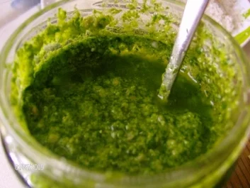 Bärlauchpesto nach meiner Art - Rezept - Bild Nr. 4