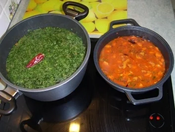 Rezept: Karottensuppe - Nudelsuppe mit roten Zwiebeln Bild Nr. 7 Karottensuppe - Nudelsuppe mit roten Zwiebeln - Rezept - Bild Nr. 7