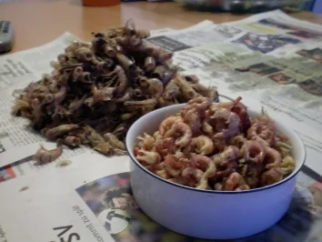 Granatbrot, ganz einfach und köstlich - Rezept - Bild Nr. 2