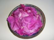Rosensirup - Rezept