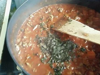 Rezept: Schlemmer-Sauce Bolognese Bild Nr. 4 Schlemmer-Sauce Bolognese - Rezept - Bild Nr. 4