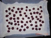 Kerstin`s Topfen-Kirsch GITTERKUCHEN - Rezept