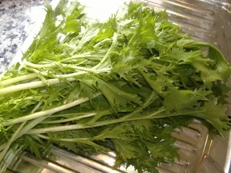 Rübstiel " Münsterländer Art " mit Nackenkotelett - Rezept - Bild Nr. 2