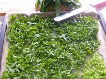 Bärlauch - Salz - Rezept - Bild Nr. 2