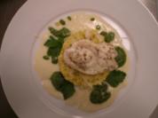 Seezungenfilet auf Safran-Perlgraupenrisotto mit Petersilienpesto - Rezept