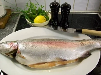 Rezept: Lachsforelle vom Holzkohlegrill Bild Nr. 2 Lachsforelle vom Holzkohlegrill - Rezept - Bild Nr. 2