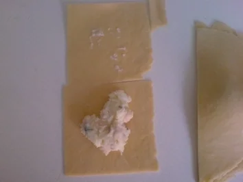 Rezept: selbstgemachte Ravioli in Tomatensauce Bild Nr. 3 selbstgemachte Ravioli in Tomatensauce - Rezept - Bild Nr. 3