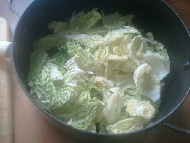 Hack auf Weißkohl - Rezept - Bild Nr. 3309