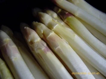 Rezept: Spargel - Schinken - Rouladen mit Hollandaise und Käse überbacken... Bild Nr. 5 Spargel - Schinken - Rouladen mit Hollandaise und Käse überbacken... - Rezept - Bild Nr. 5