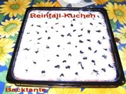 BLECHKUCHEN - Reinfallkuchen - Rezept