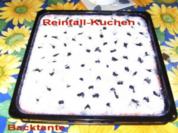 BLECHKUCHEN - Reinfallkuchen - Rezept