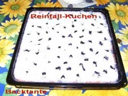 BLECHKUCHEN - Reinfallkuchen - Rezept