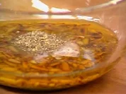 Pinienkern-Limonendressing - Rezept