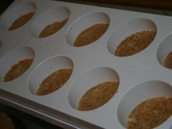 Rezept: Erdbeer Törtchen Bild Nr. 5 Erdbeer Törtchen - Rezept - Bild Nr. 5