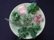 Walnuss-Kräuter-Pesto - Rezept